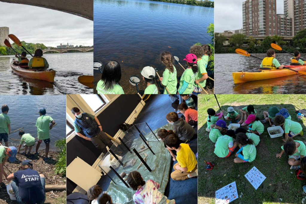 Our partnership with Mass Audubon has helped connect Cambridge youth with the city’s nature.